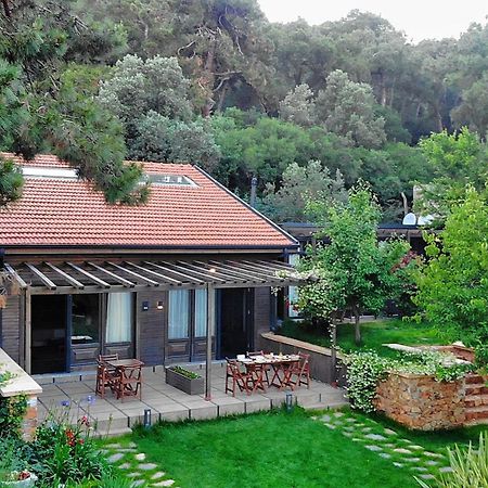 Triada Hotel Bueyuekada Adalar Exteriér fotografie