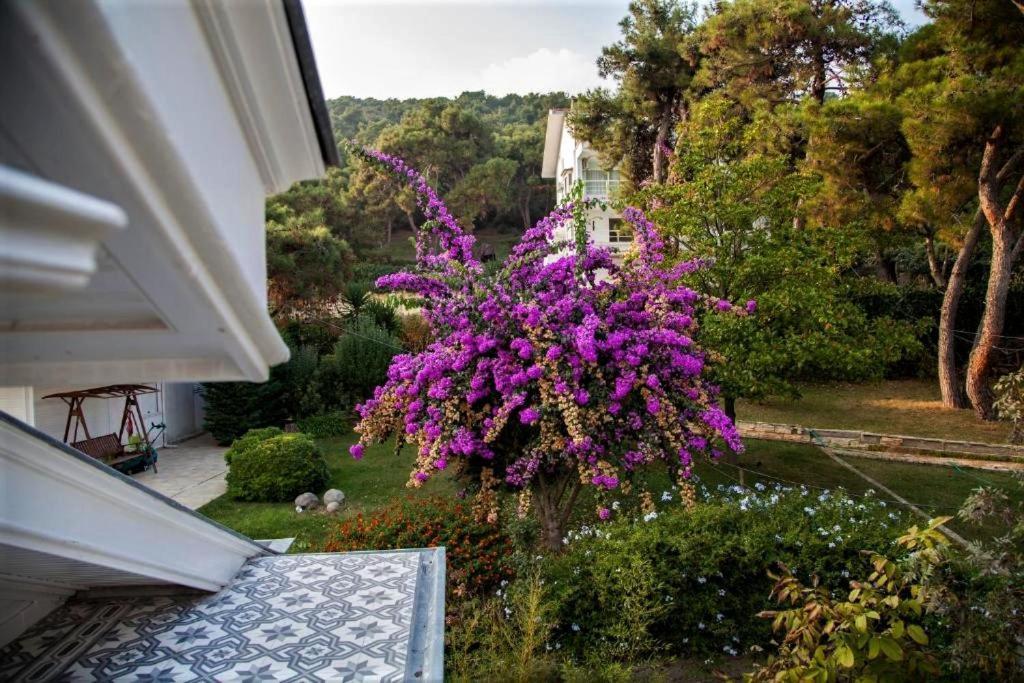 Triada Hotel Bueyuekada Adalar Exteriér fotografie